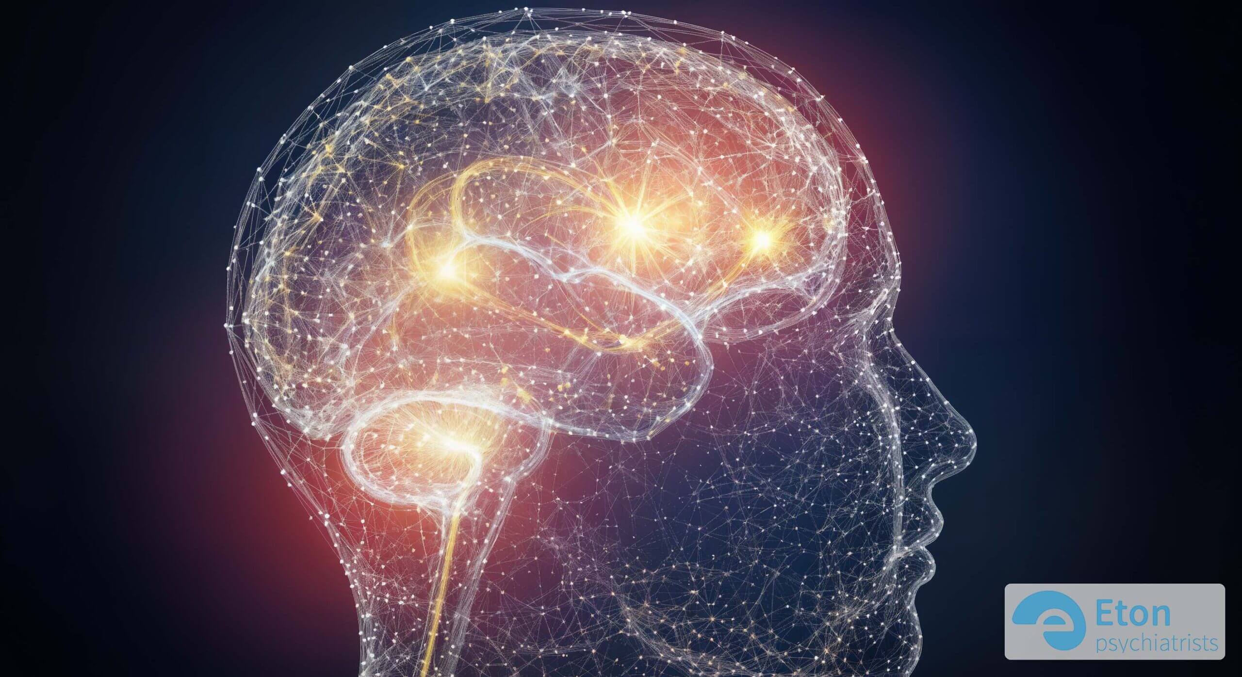 An artistic visualization of a glowing human brain, representing the neurobiological reality of ADHD.