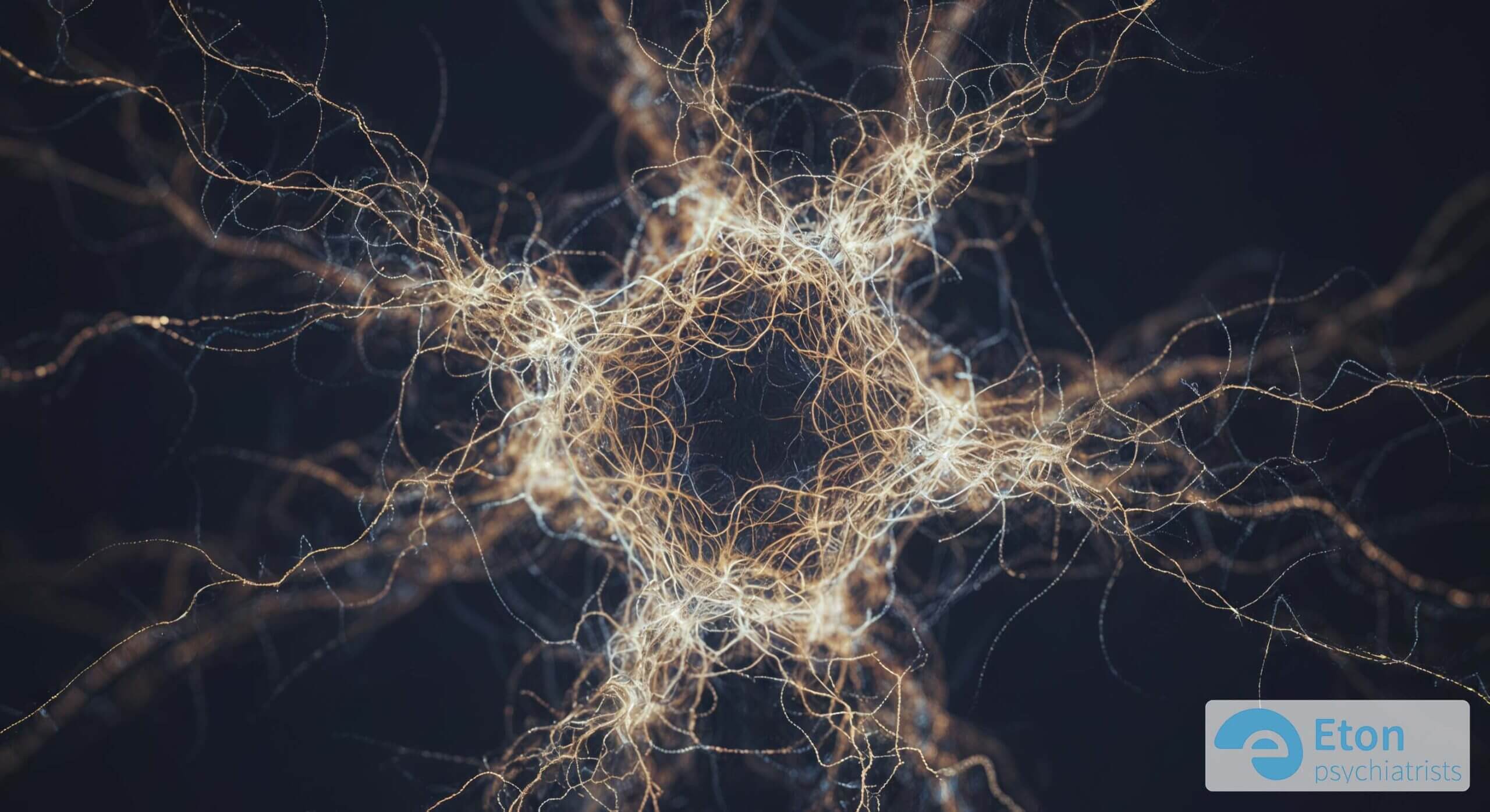 A stylized illustration of a brain showing the three key dopamine pathways highlighted in different colors.